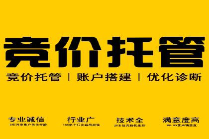成功案例：如何通过百度推广优化提高转化率